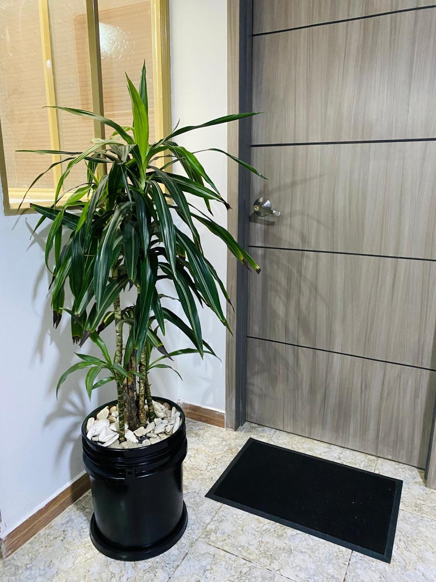 Bogota Kings 301 Hotel Екстериор снимка